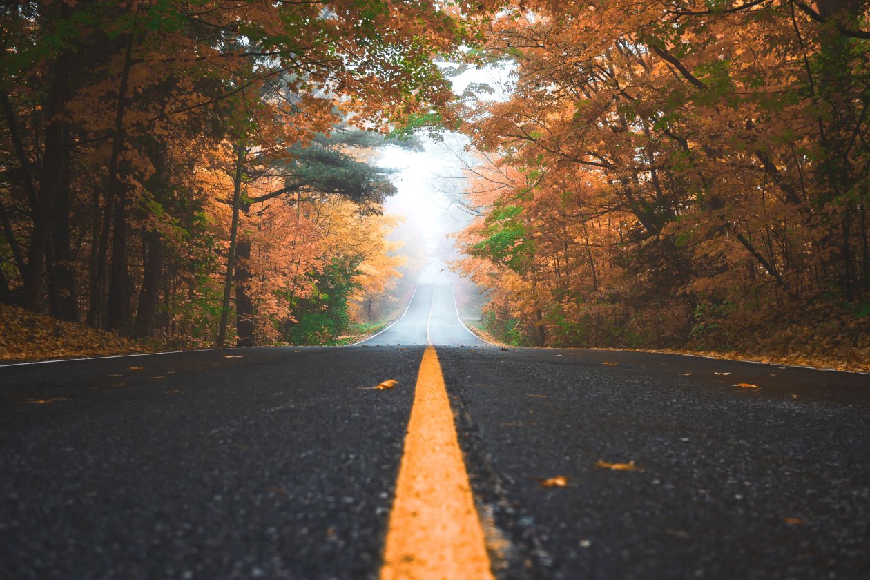 Alone Road Autumn 4k