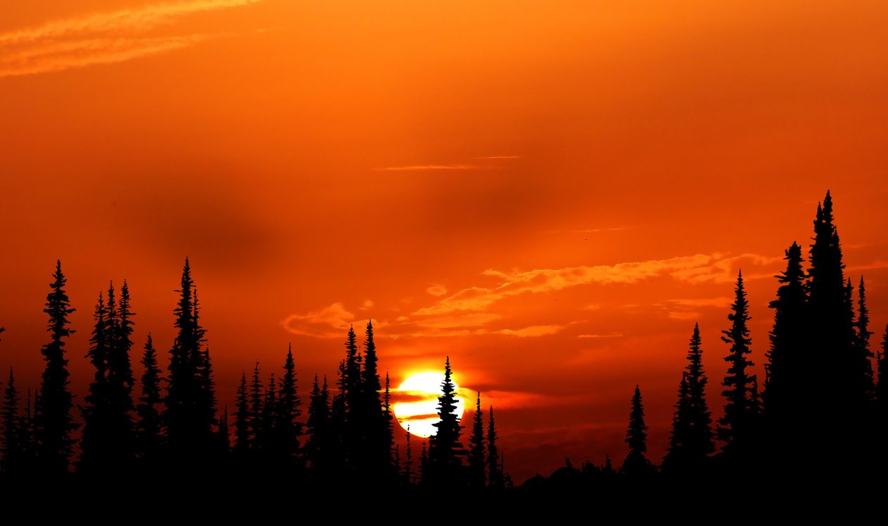 Relaxing Orange Sunset Evening 4k