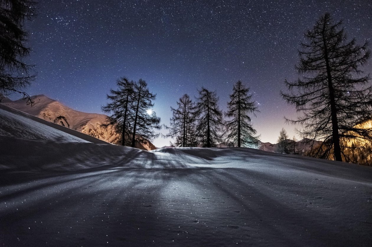 Trees Night Snow Mountains