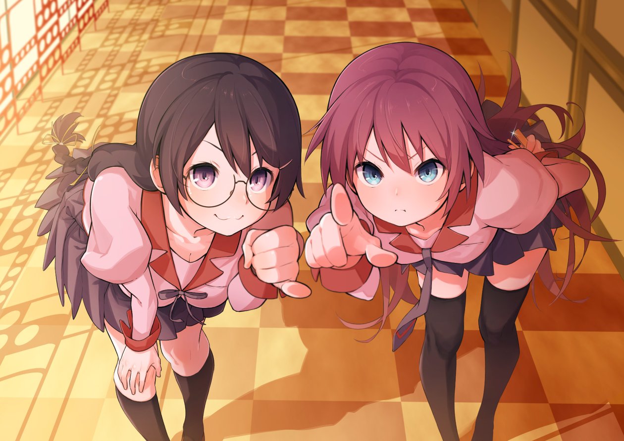 Anime Monogatari Series Hitagi Senjogahara Tsubasa Hanekawa