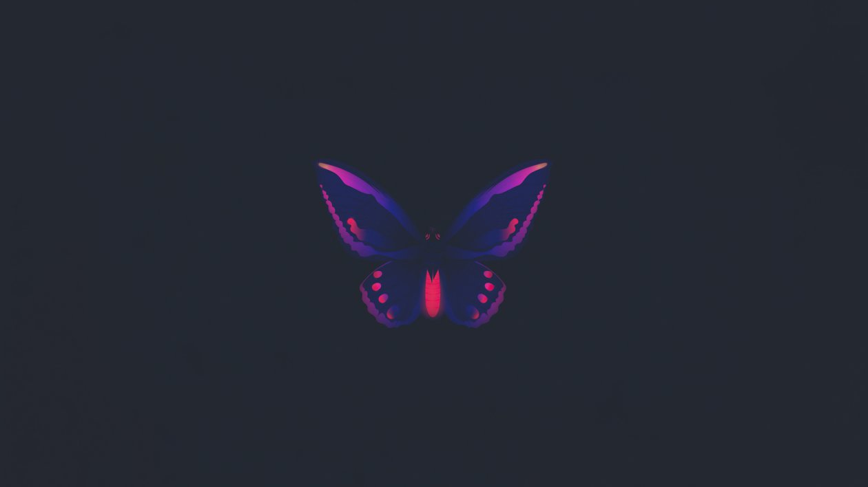 Butterfly Minimal 4k