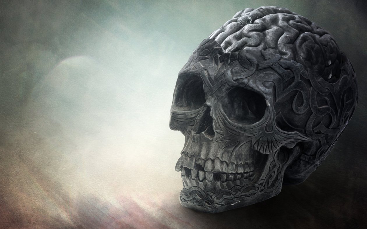 Brain Skull