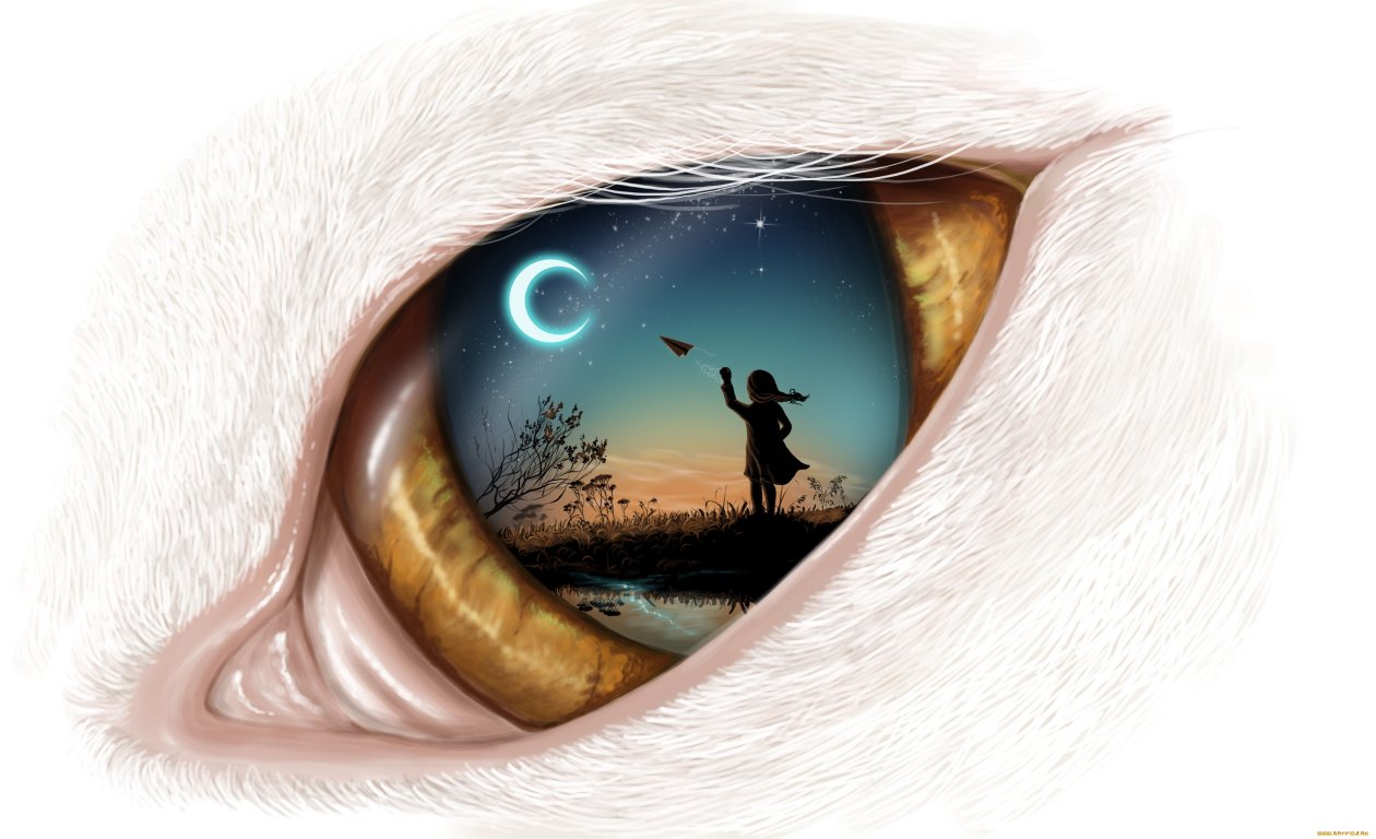 Dream In Eye