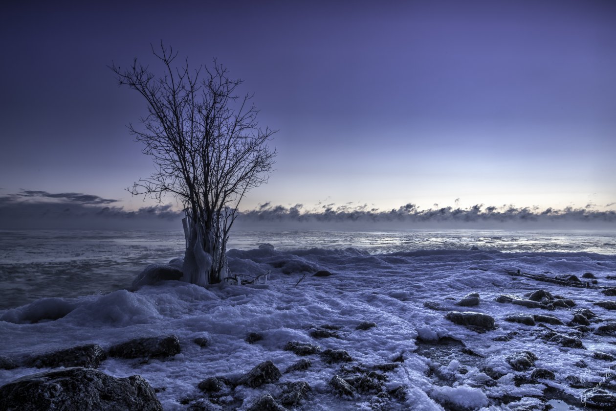 Frozen Winter Snow Landscape
