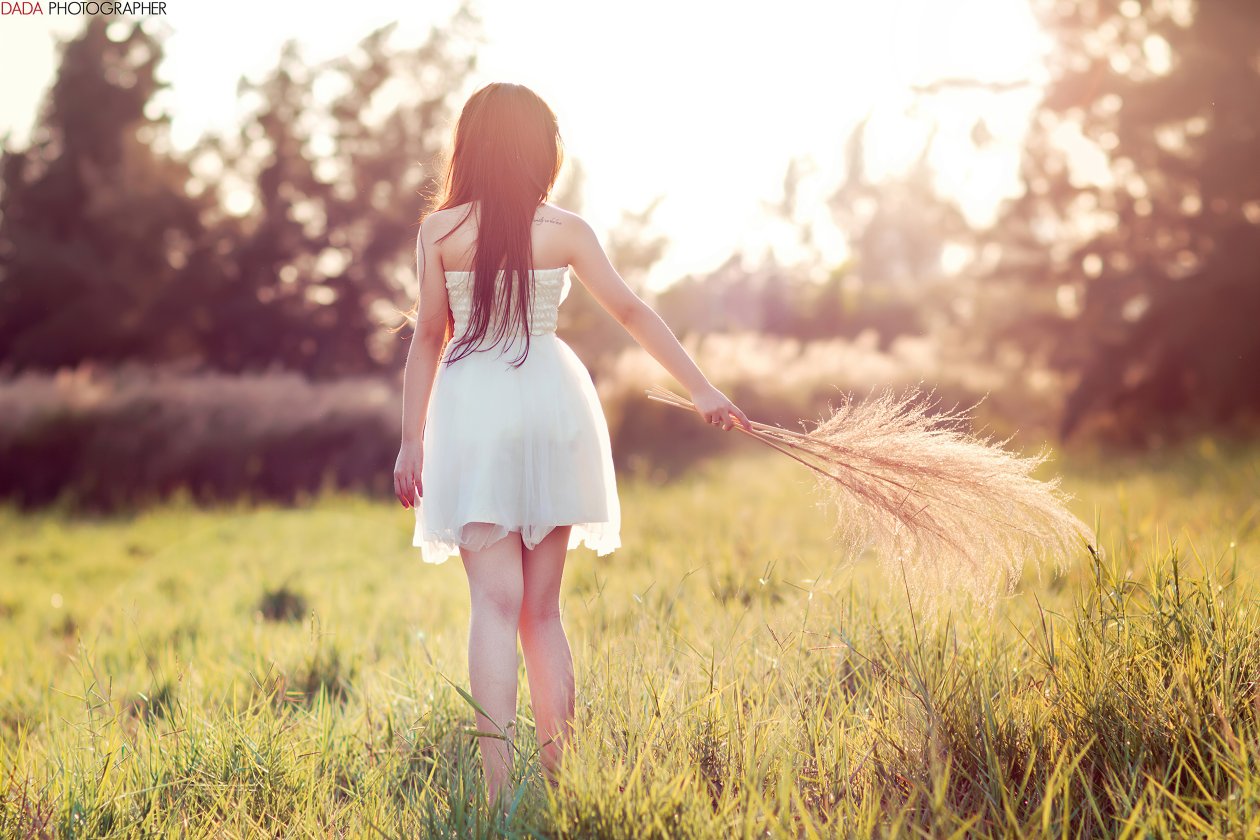 Asian Girl In Field 4k