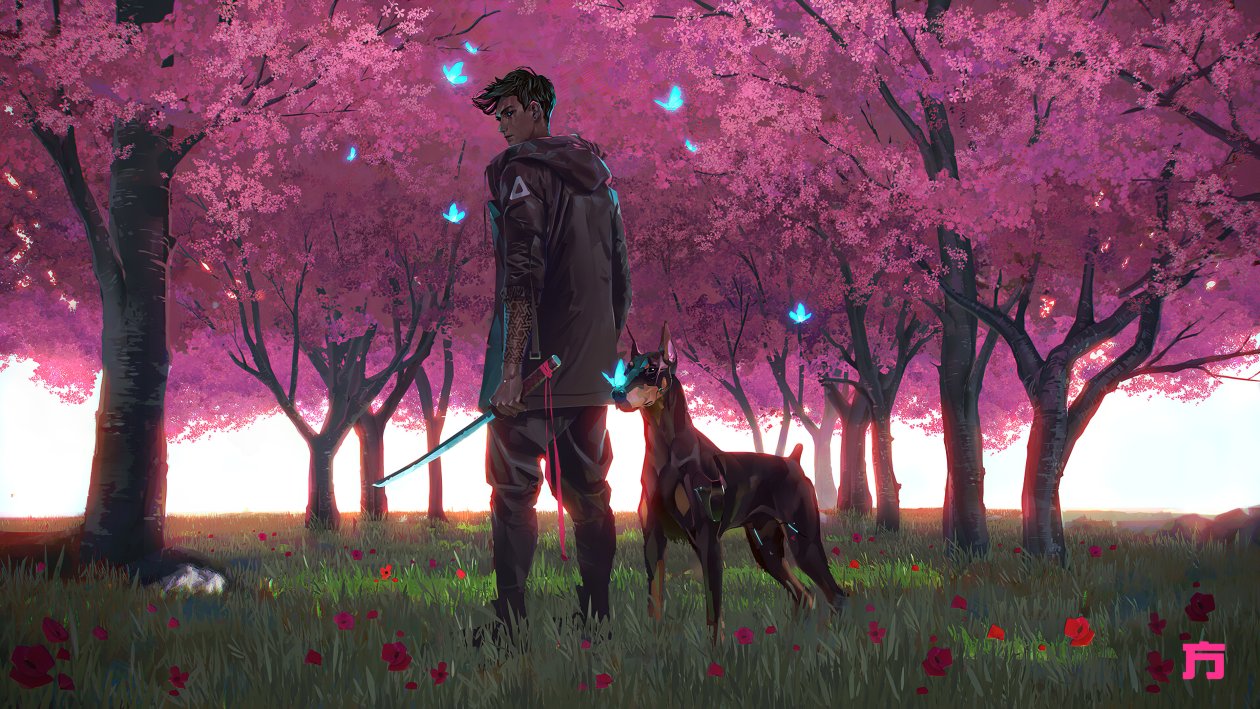 Sakura Park 4k