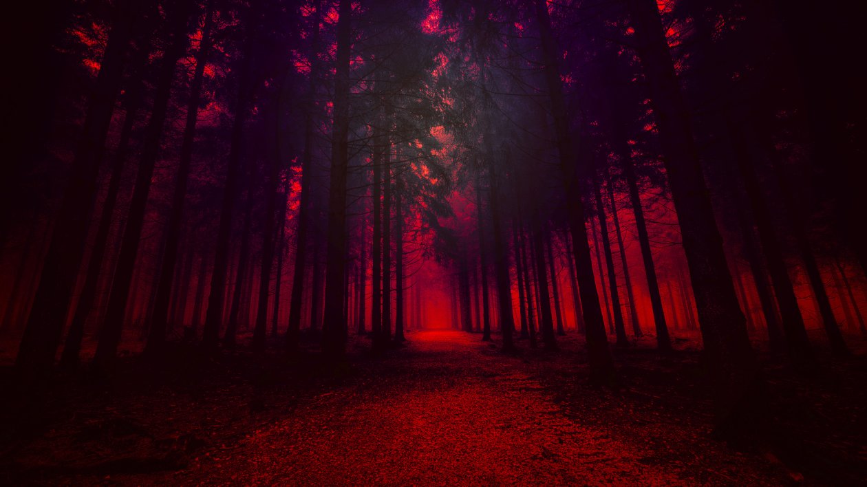Artistic Red Forest