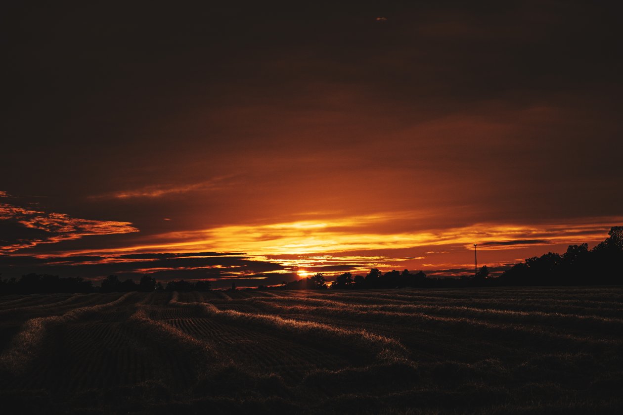 Evening Sunset 5k