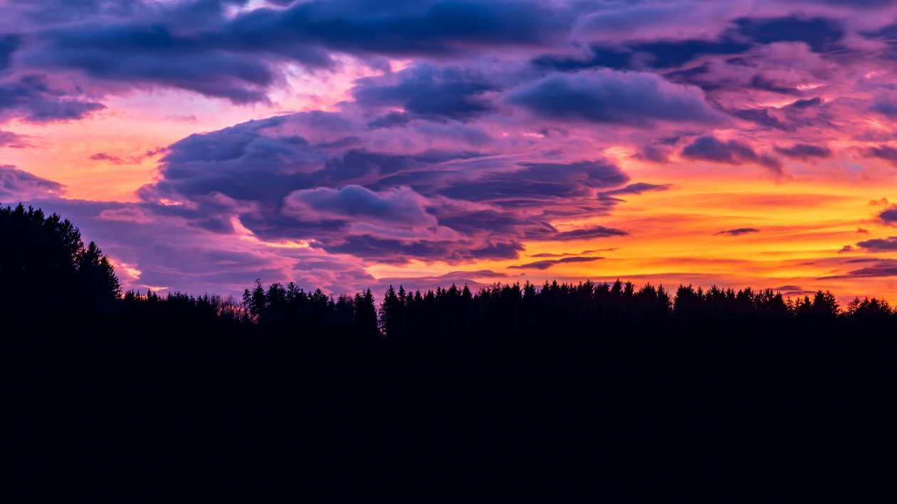 Sunset Clouds Forest 4k