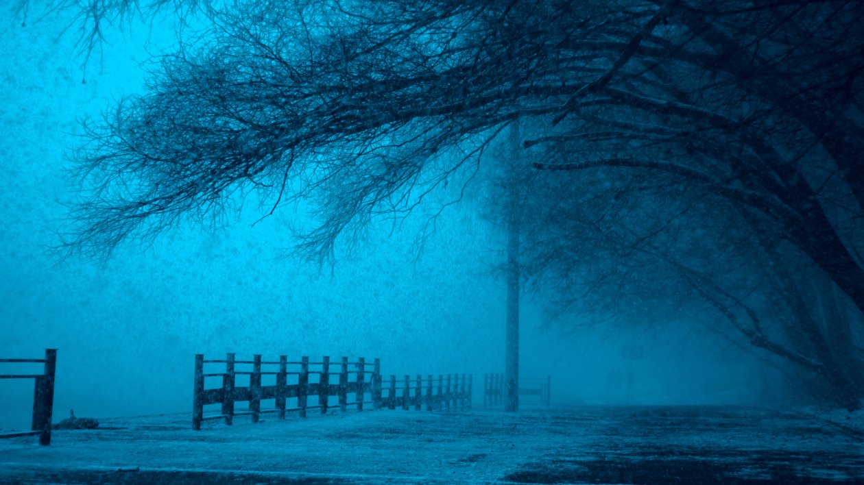 Winter Storm