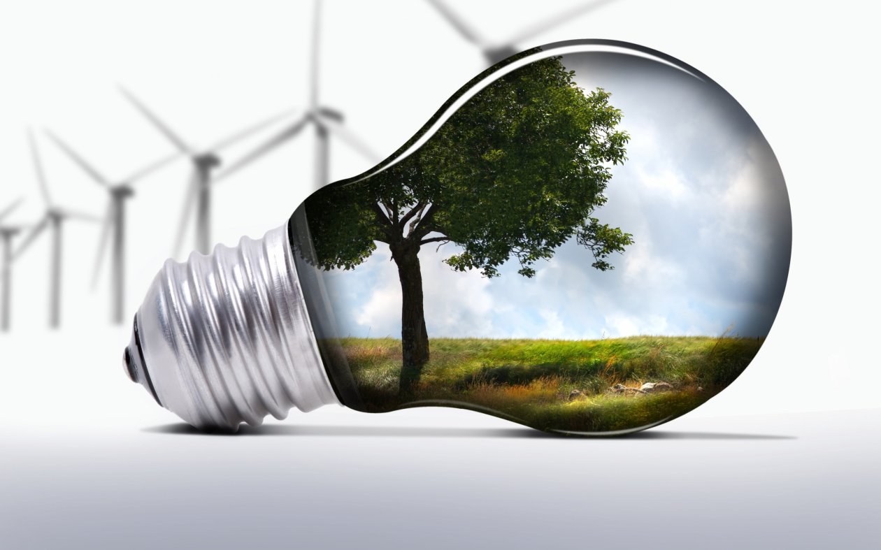 Light Bulb Art