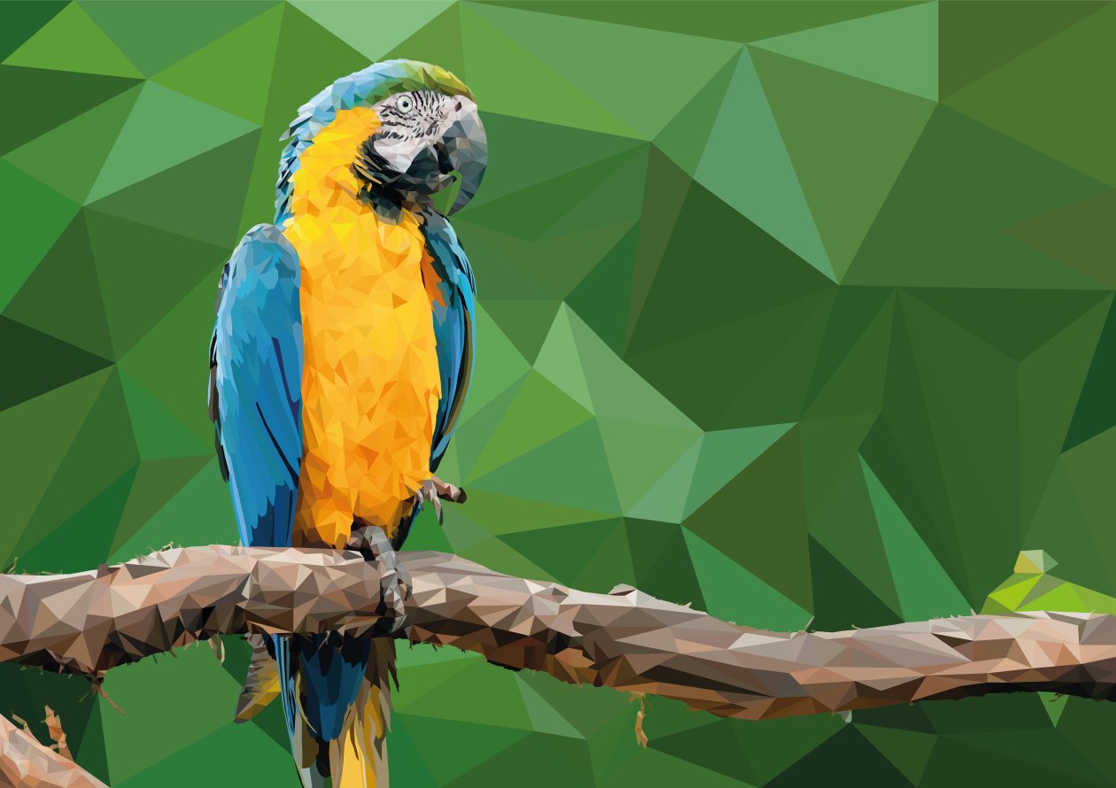 Macaw Low Poly Digital Art