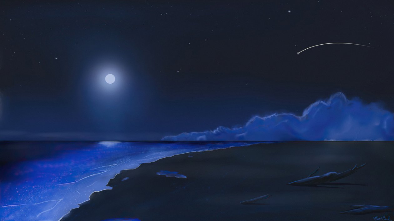 Moonlit Shore 4k