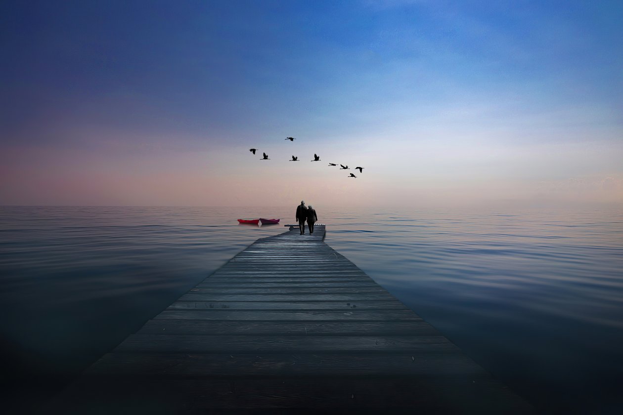 Couple Boat Birds 4k