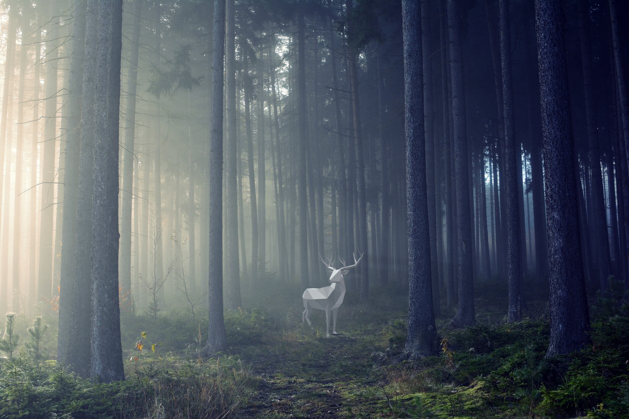 Deer Illustration 4k