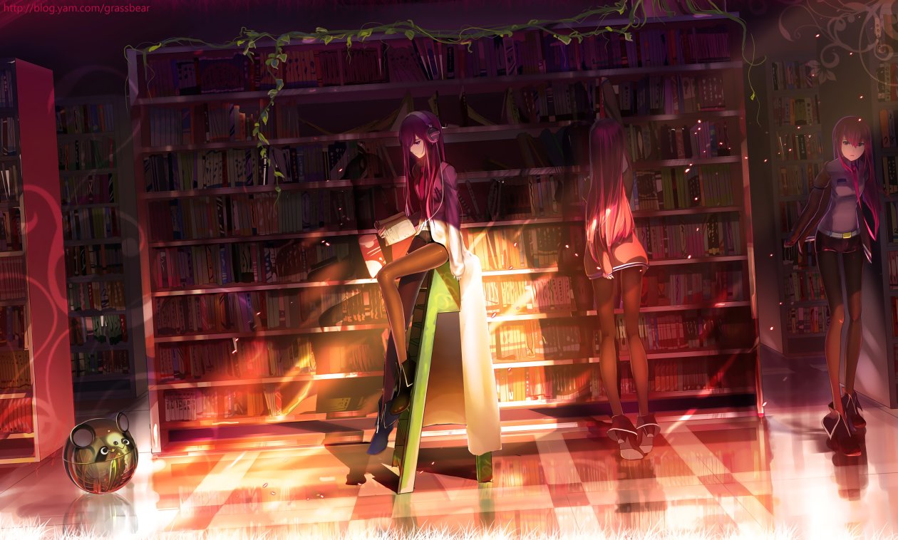 Steins Gate Makise Kurisu