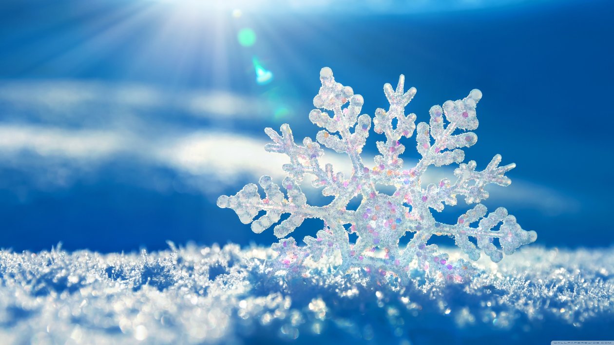 Snowflakes Background
