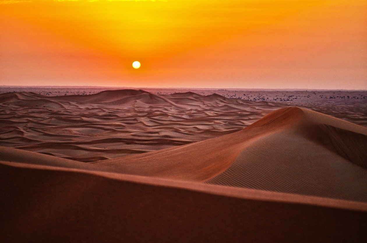 Sandscape 5k