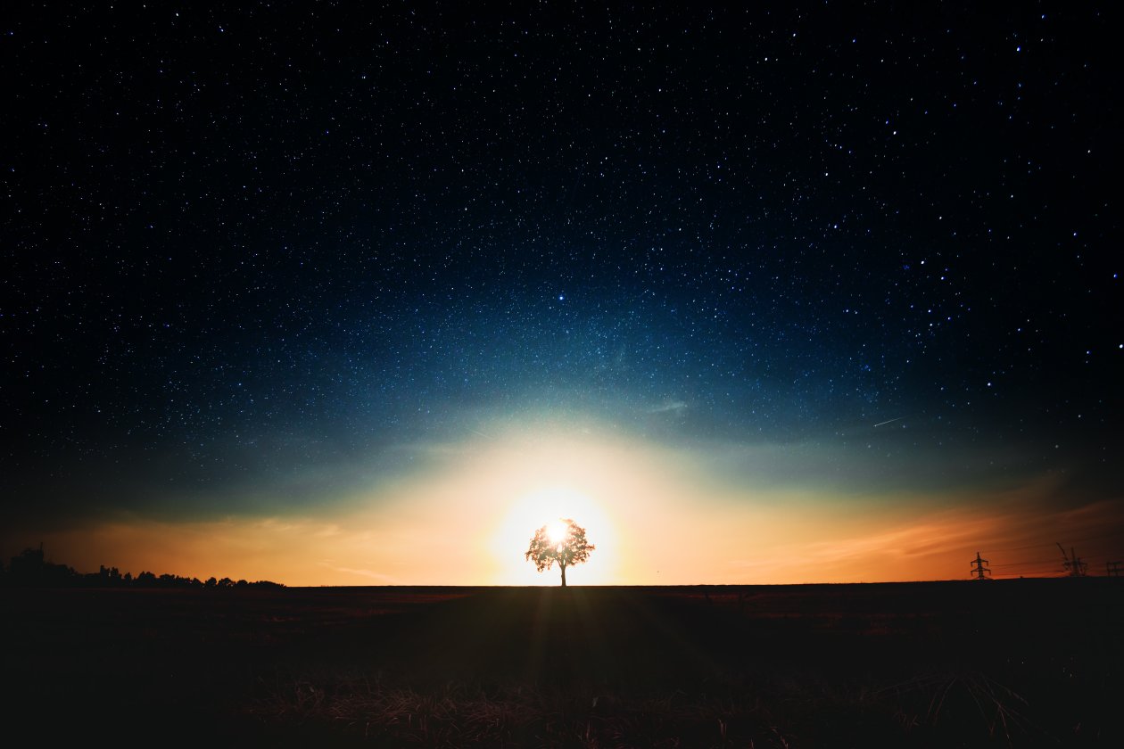 Tree Dark Landscape 5k