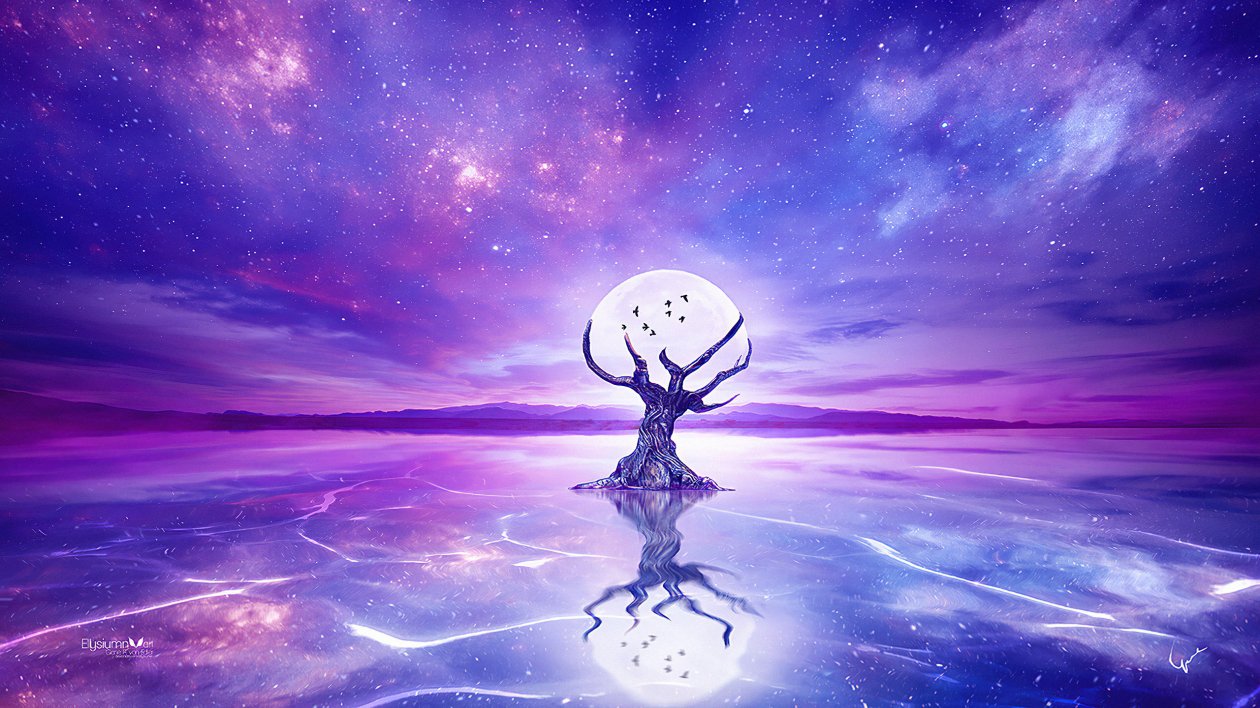 Moon Tree
