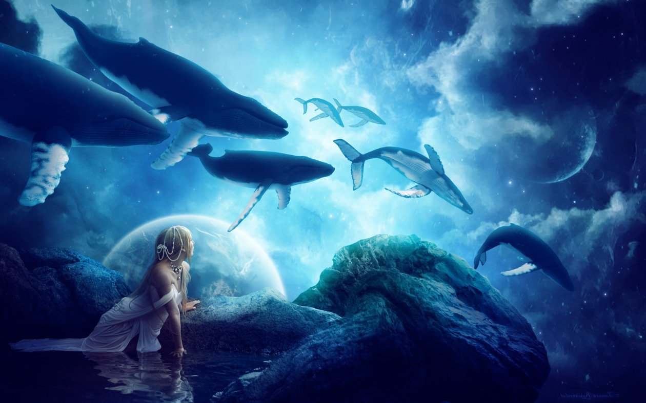Whales Dream