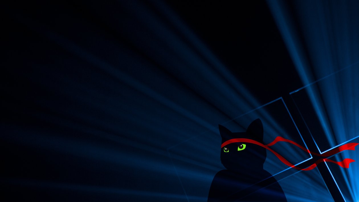 Ninja Cat 4k