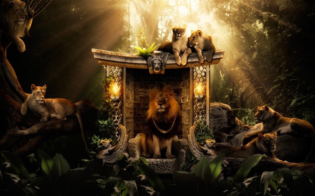 Lions Jungle