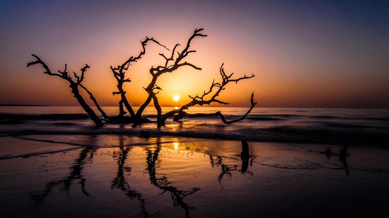 Driftwood Beach