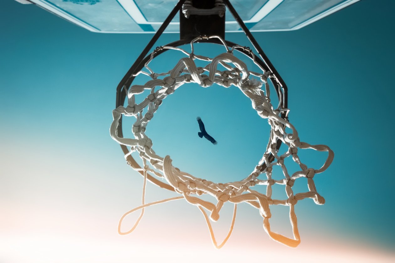 Bird View From Basketball Ring