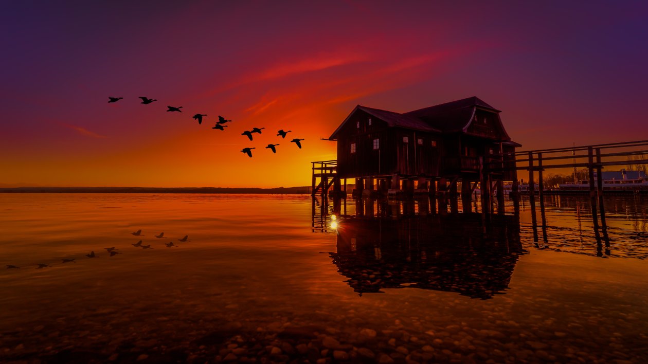 Lake House On Pier Birds Flying Sunset Scenery