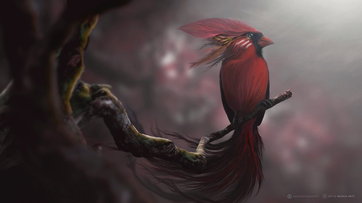 Red Bird Digital Art