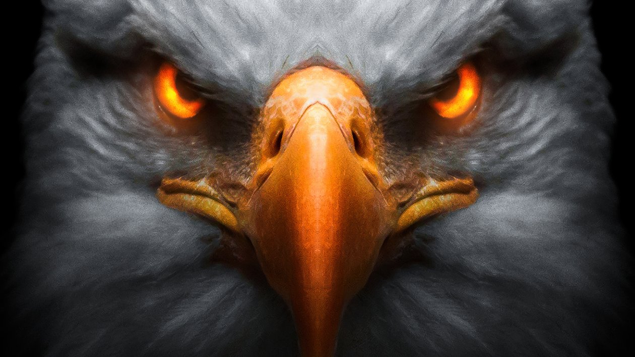 Eagle Red Glowing Eyes
