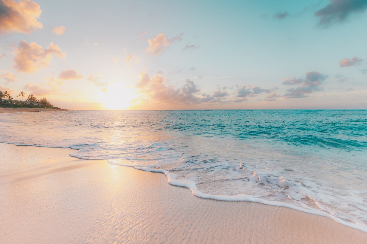 Seashore During Golden Hour 5k