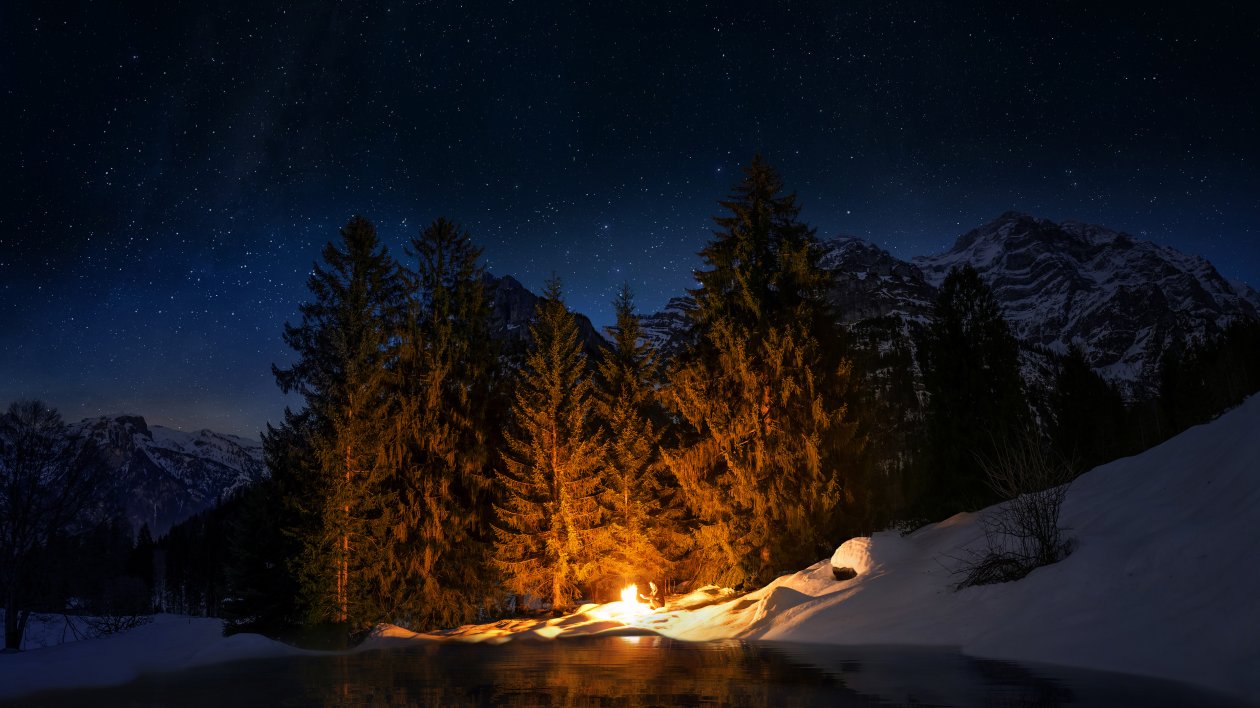 Campfire Forest