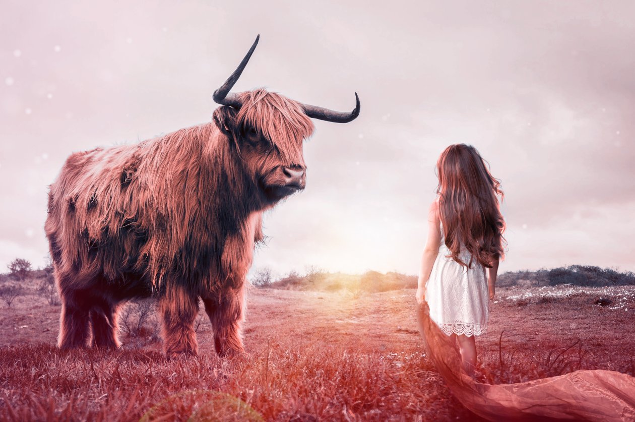 Child Bull Fantasy