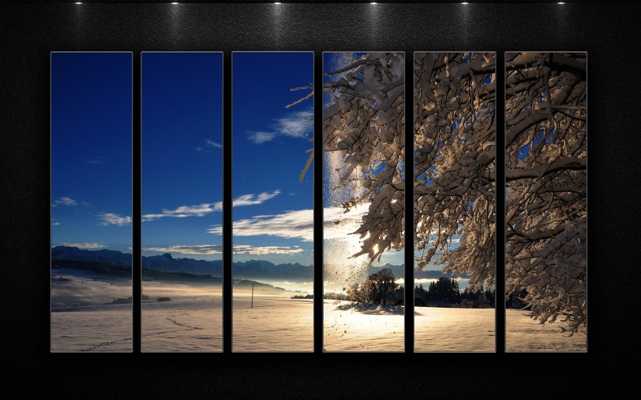 Winter Nature