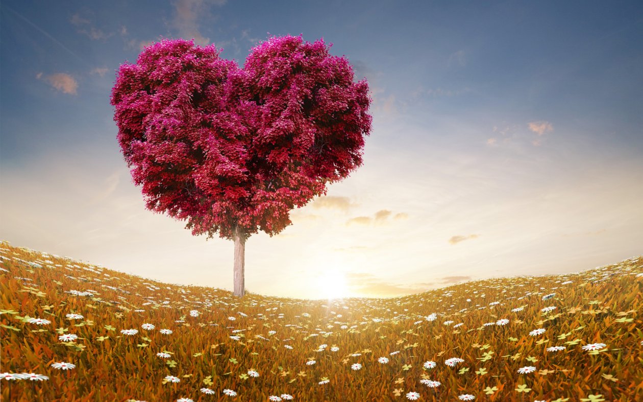 Love Heart Tree