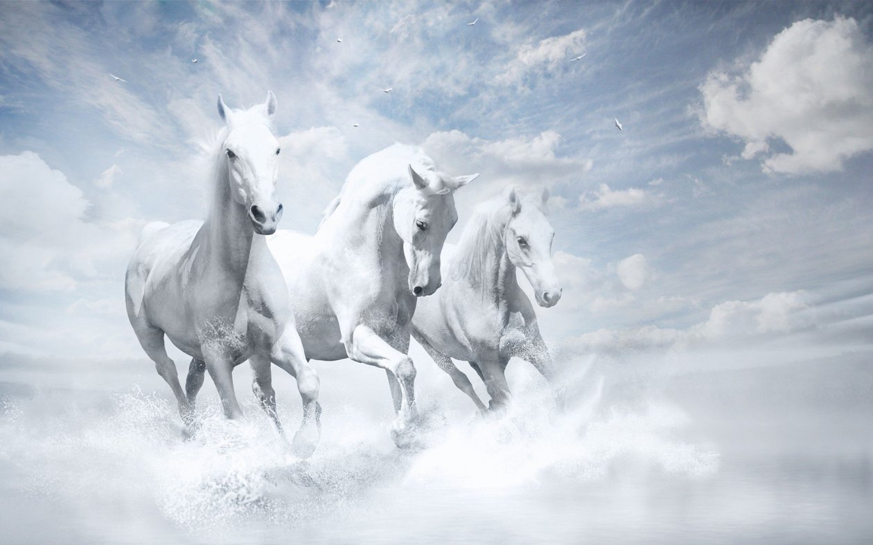 White Horses HD