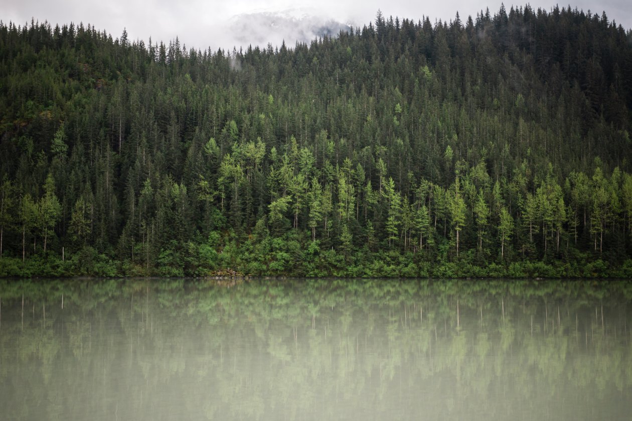 Trees Water Nature Clouds 5k