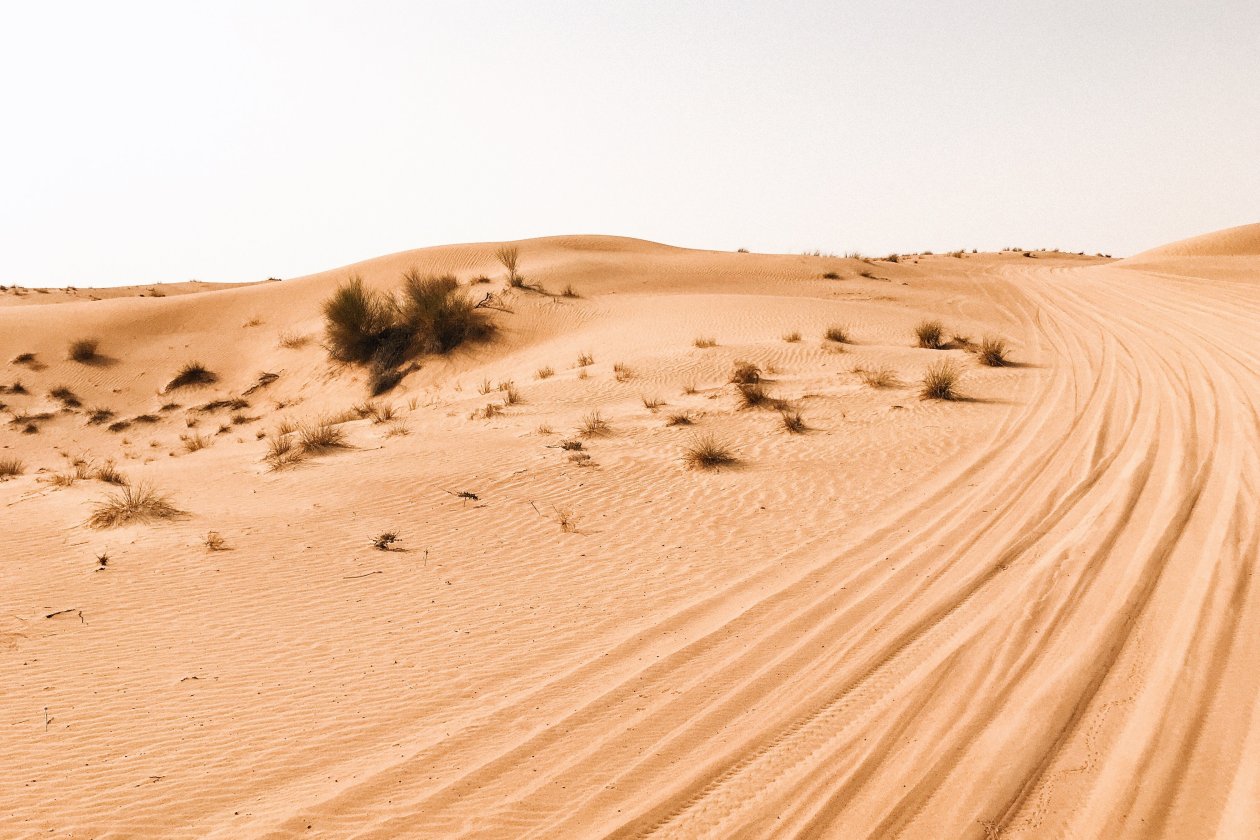 Desert Photography 4k