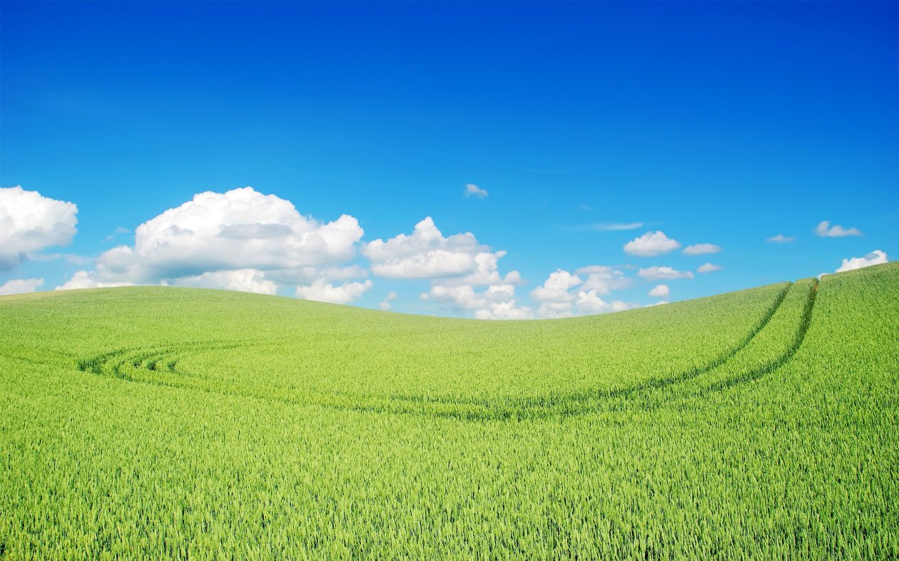 Green Landscape Beautiful