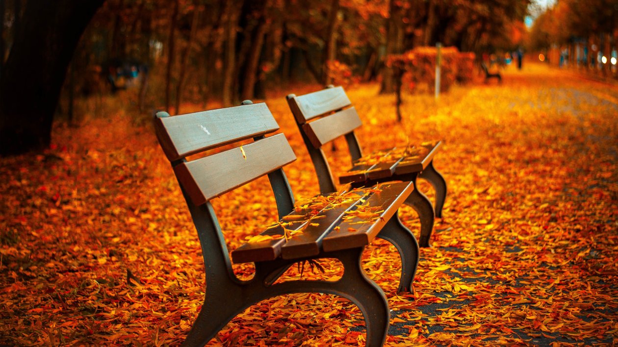 Autumn Leaves Bench