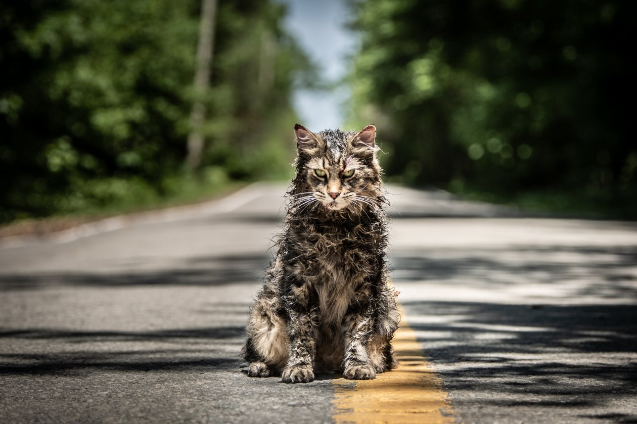 Pet Sematary Movie 2019