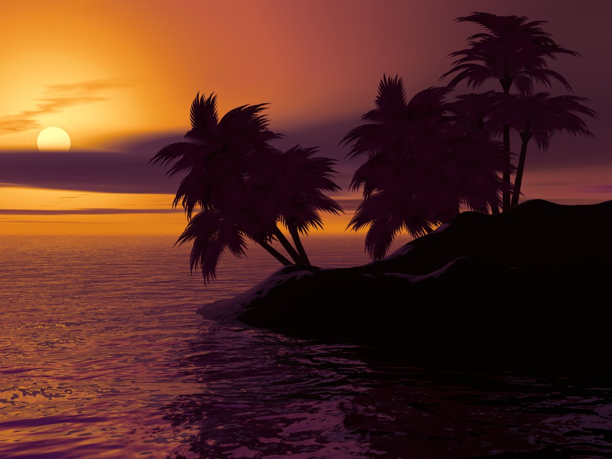 Island Palm Sunset Sky