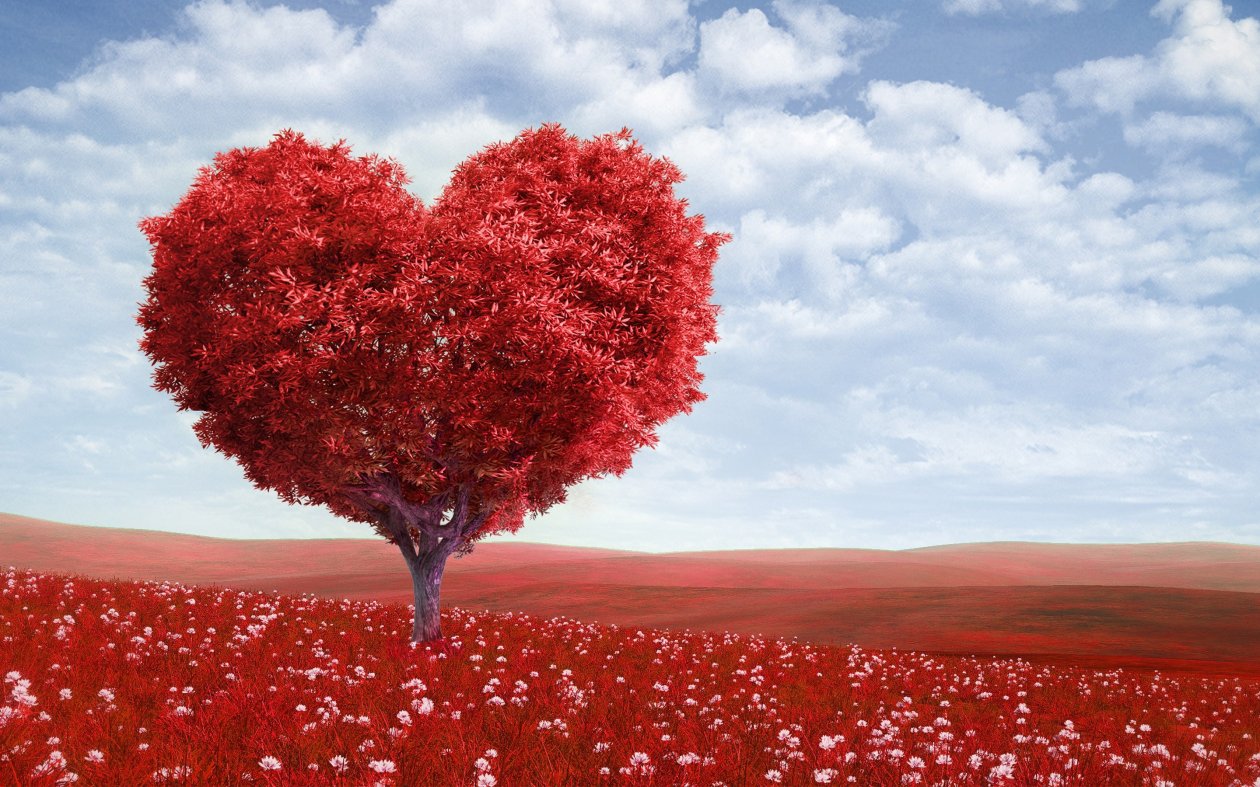 Heart Tree