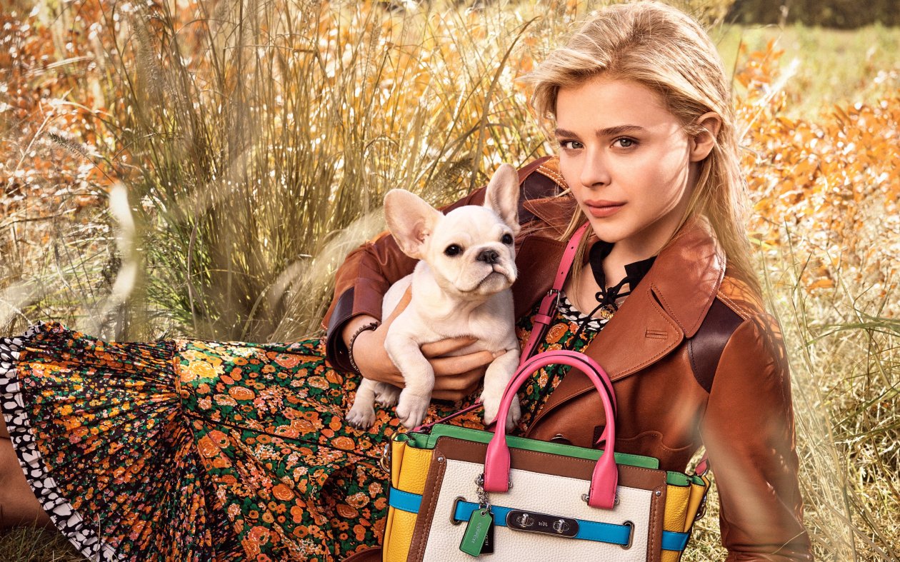 Chloe Moretz 11