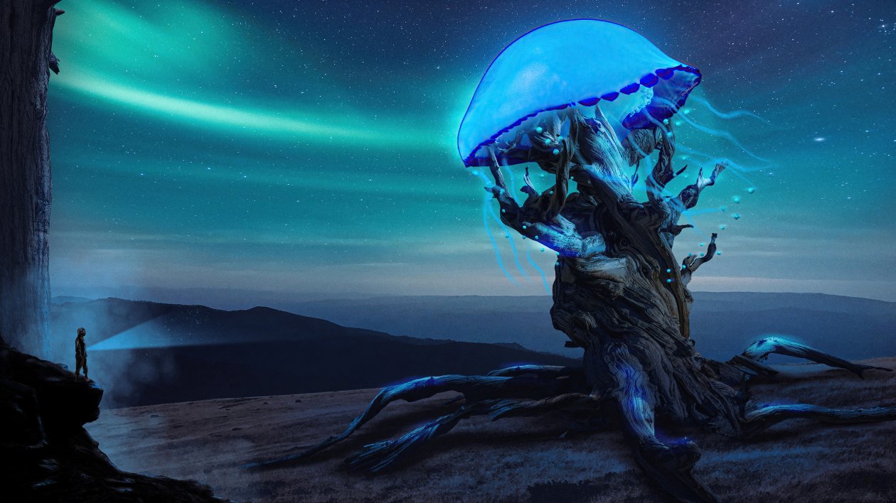 Discovering The Blues 5k