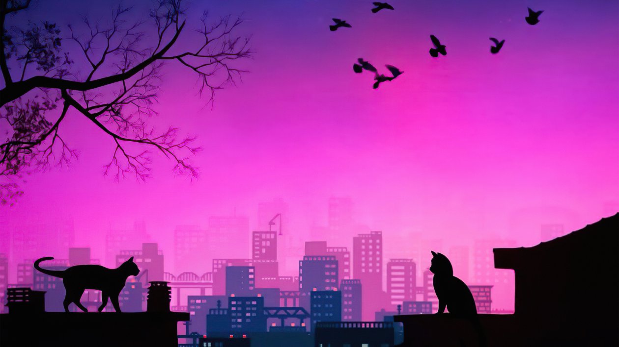 Cats Evening Meetup Synthwave 5k