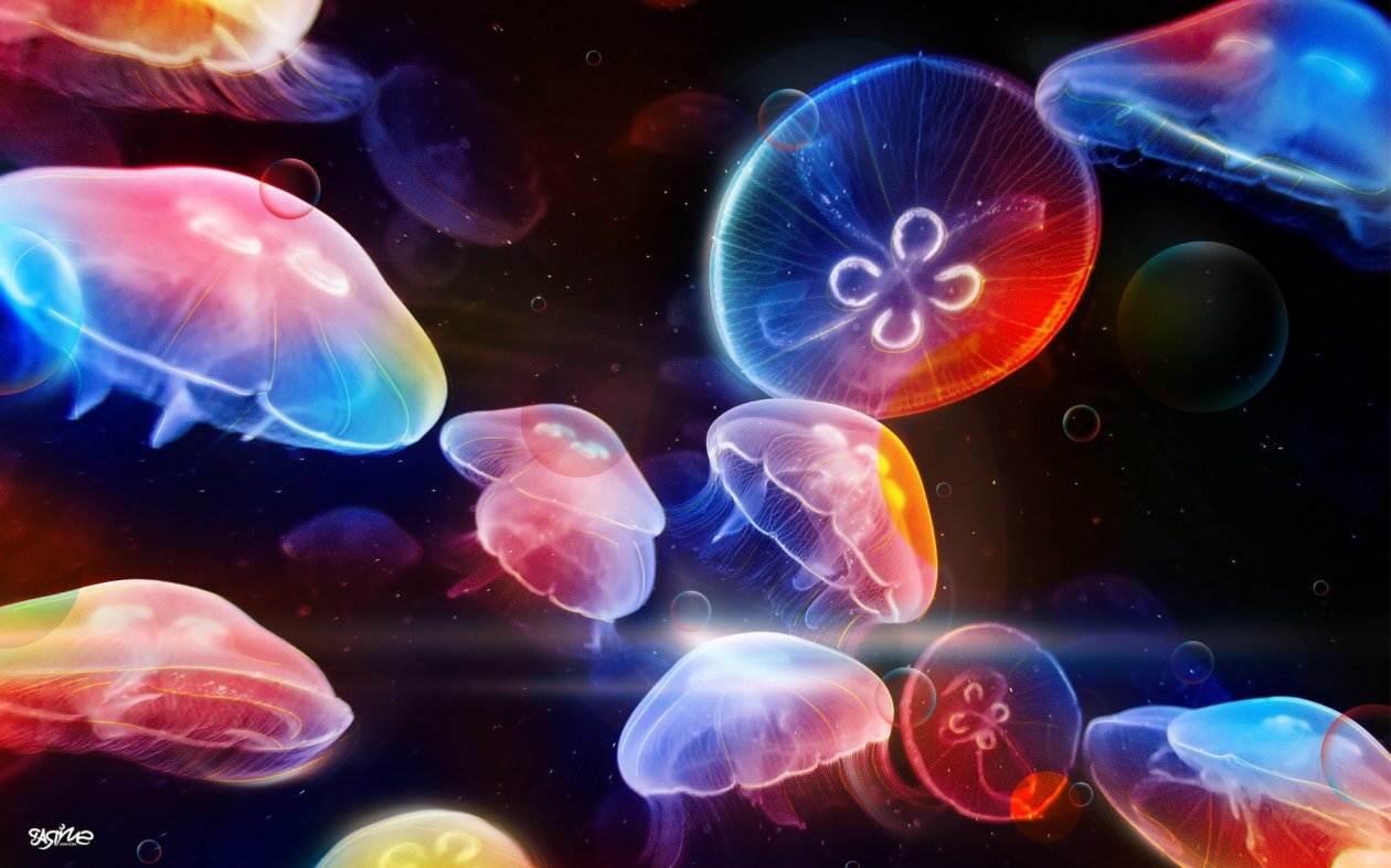 Underwater Jellyfishes