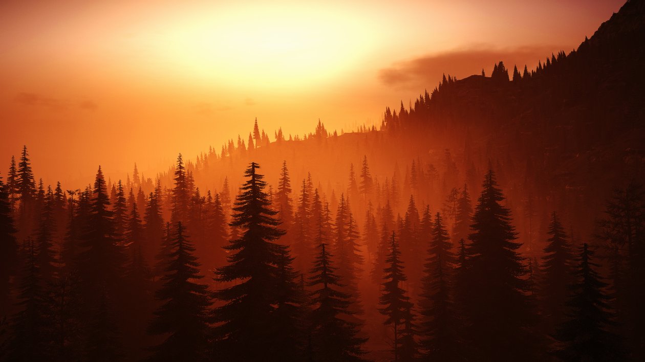 Tom Clancys Ghost Recon Wildlands Nature